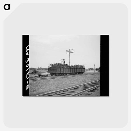 アートポストカード-Loading Scrap Iron
 - ラッセル リー Postcard.