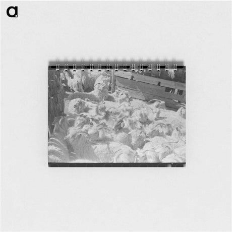 アートメモ帳-Goats on a Texas Ranch
 - ラッセル リー Memo.