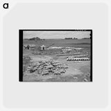 アートポストカード-Irrigation Tile
 - ラッセル リー Postcard.