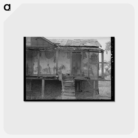 アートポストカード-Abandoned Trepagnier Plantation
 - ラッセル リー Postcard.