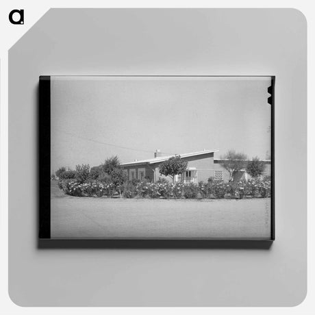 アートパネル-Community House, Casa Grande Valley Farms
 - ラッセル リー Canvas.