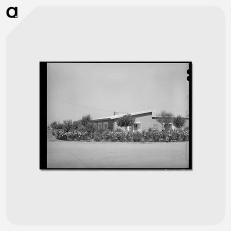 アートポストカード-Community House, Casa Grande Valley Farms
 - ラッセル リー Postcard.