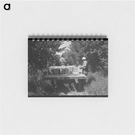 アートメモ帳-Carrying Peaches
 - ラッセル リー Memo.