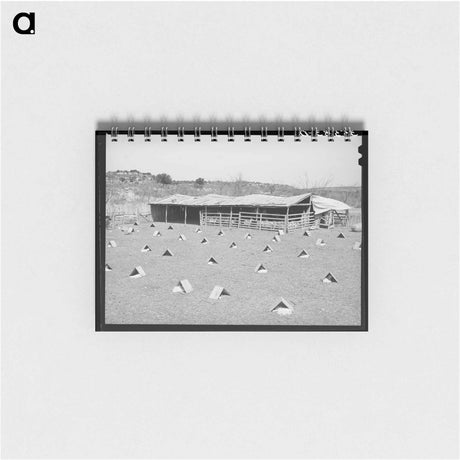アートメモ帳-Kids in Shelters
 - ラッセル リー Memo.