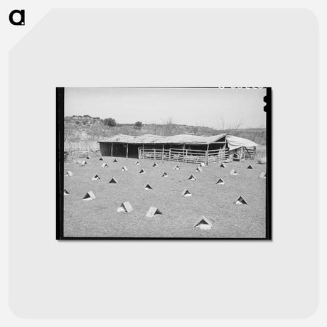 アートポストカード-Kids in Shelters
 - ラッセル リー Postcard.