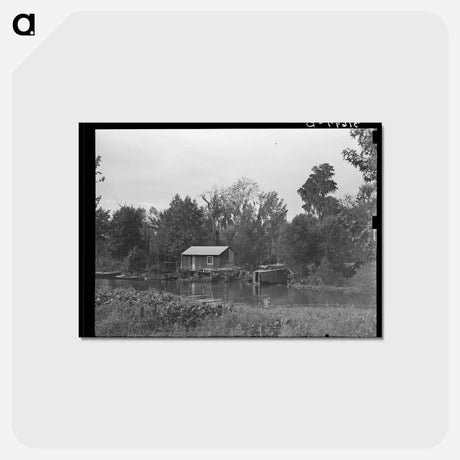 アートポストカード-Fisherman's House, Louisiana
 - ラッセル リー Postcard.