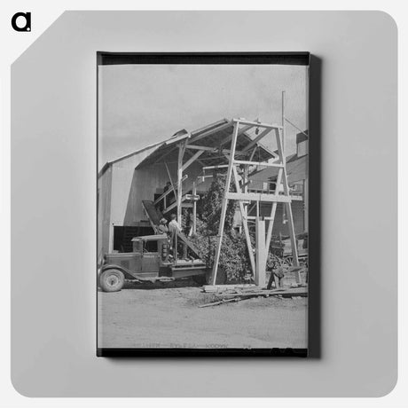 アートパネル-Hop Vines and Mechanical Picker
 - ラッセル リー Canvas.