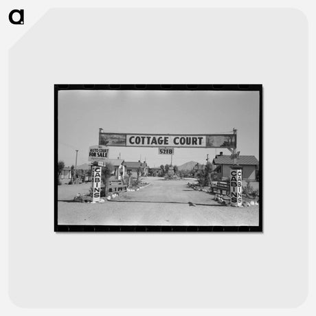 アートポストカード-Phoenix Tourist Court
 - ラッセル リー Postcard.