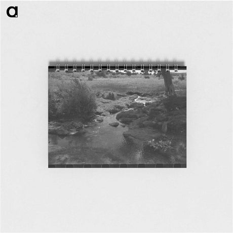 アートメモ帳-Irrigation Water for Concho, Arizona
 - ラッセル リー Memo.