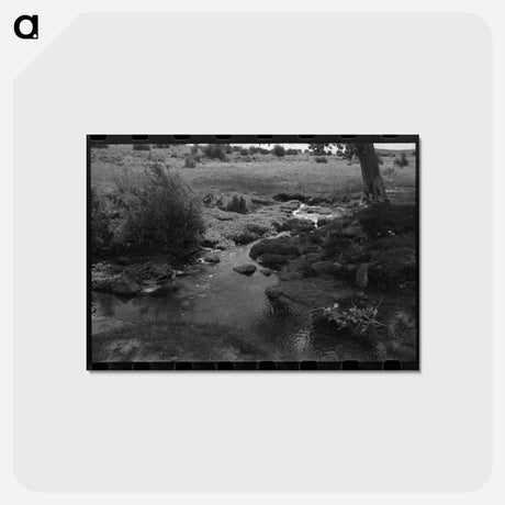 アートポストカード-Irrigation Water for Concho, Arizona
 - ラッセル リー Postcard.