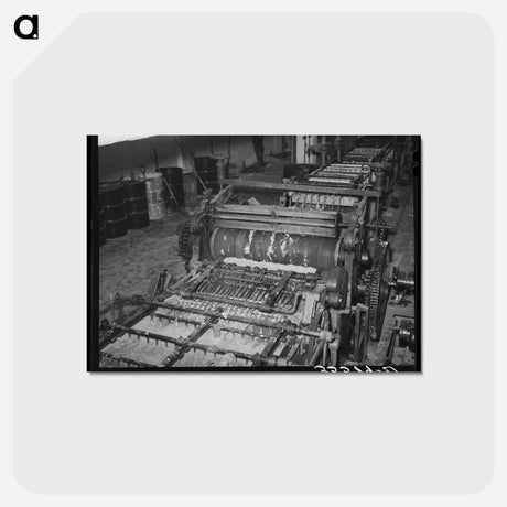 アートポストカード-Wool Scouring Machine
 - ラッセル リー Postcard.