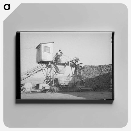 アートパネル-Sugar Beet Unloader
 - ラッセル リー Canvas.