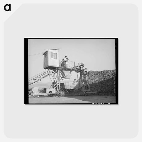 アートポストカード-Sugar Beet Unloader
 - ラッセル リー Postcard.