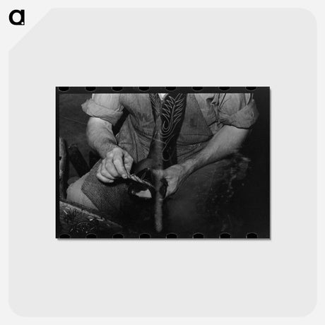 アートポストカード-Cowboy Bootmaking Shop
 - ラッセル リー Postcard.