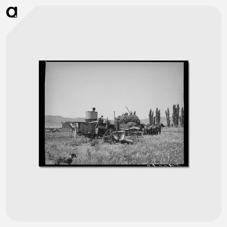 アートポストカード-Horse-Powered Combine
 - ラッセル リー Postcard.