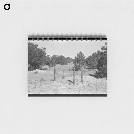 アートメモ帳-Grave in Mountain Cemetery
 - ラッセル リー Memo.