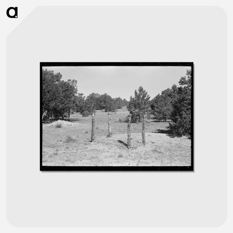アートポストカード-Grave in Mountain Cemetery
 - ラッセル リー Postcard.