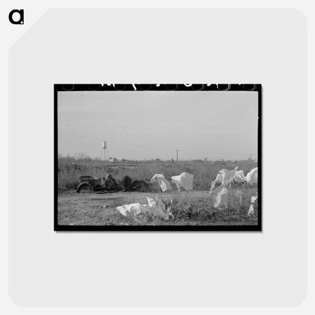 アートポストカード-Laundry on Mesquite
 - ラッセル リー Postcard.