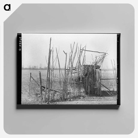 アートパネル-Chicken Shed, Transylvania
 - ラッセル リー Canvas.
