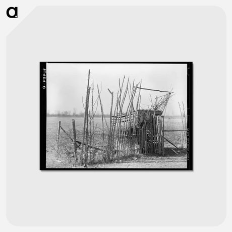 アートポストカード-Chicken Shed, Transylvania
 - ラッセル リー Postcard.