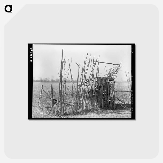 アートポストカード-Chicken Shed, Transylvania
 - ラッセル リー Postcard.
