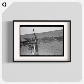 アートポスター-Cattle Roundup Near Marfa
 - ラッセル リー Poster.