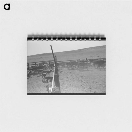 アートメモ帳-Cattle Roundup Near Marfa
 - ラッセル リー Memo.