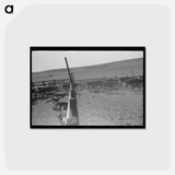 アートポストカード-Cattle Roundup Near Marfa
 - ラッセル リー Postcard.