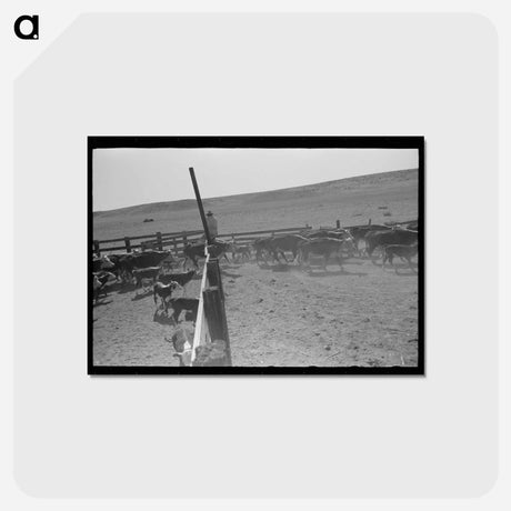 アートポストカード-Cattle Roundup Near Marfa
 - ラッセル リー Postcard.