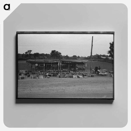 アートパネル-Roadside Vegetables, Connecticut
 - ラッセル リー Canvas.