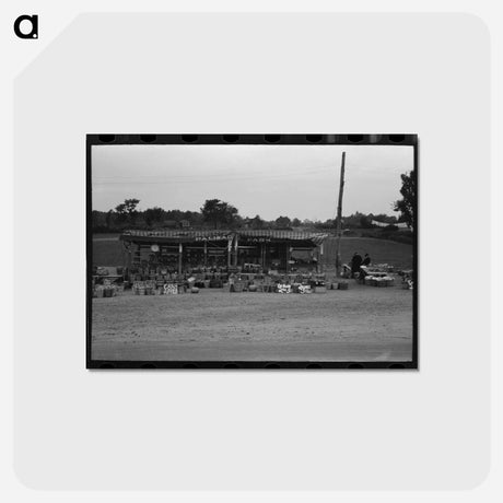 アートポストカード-Roadside Vegetables, Connecticut
 - ラッセル リー Postcard.