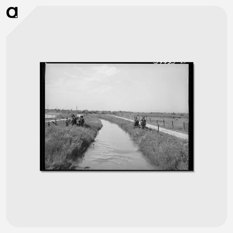 アートポストカード-Irrigation Ditch, Canyon County
 - ラッセル リー Postcard.