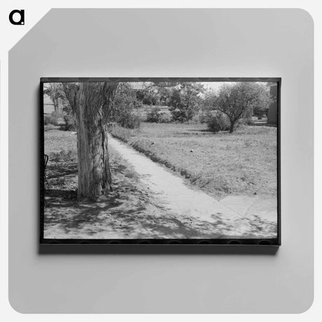 アートパネル-Sidewalk in Syracuse
 - ラッセル リー Canvas.