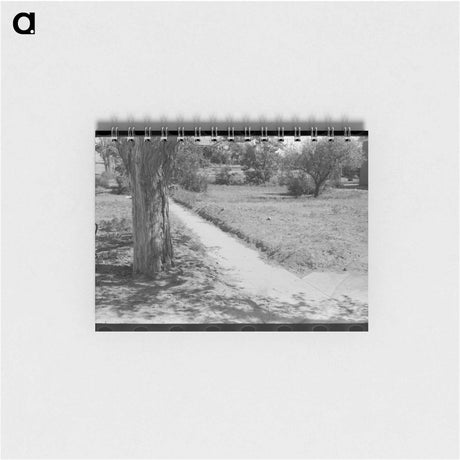 アートメモ帳-Sidewalk in Syracuse
 - ラッセル リー Memo.