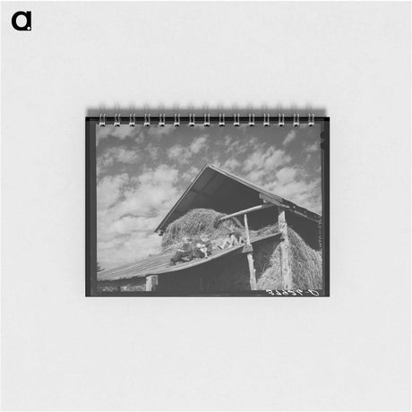 アートメモ帳-Mormon Children on a Barn Roof
 - ラッセル リー Memo.