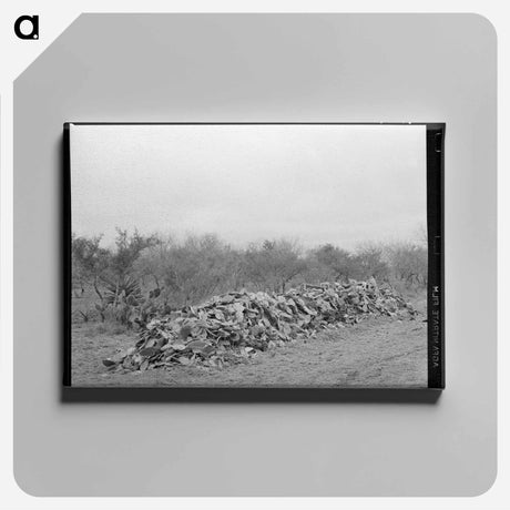 アートパネル-Cactus Pile
 - ラッセル リー Canvas.