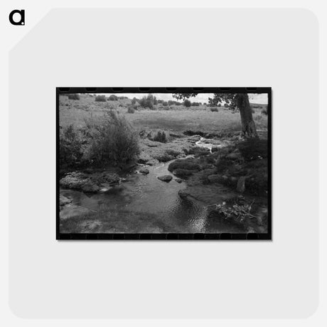 アートポストカード-Concho Irrigation Spring
 - ラッセル リー Postcard.