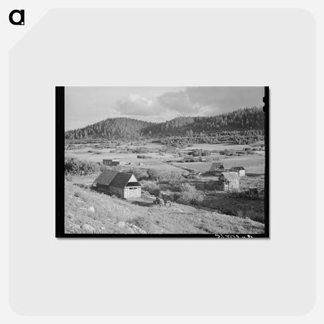 アートポストカード-Farming Country at Llano de San Juan
 - ラッセル リー Postcard.