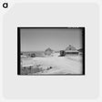 アートポストカード-Desert Ranch
 - ラッセル リー Postcard.