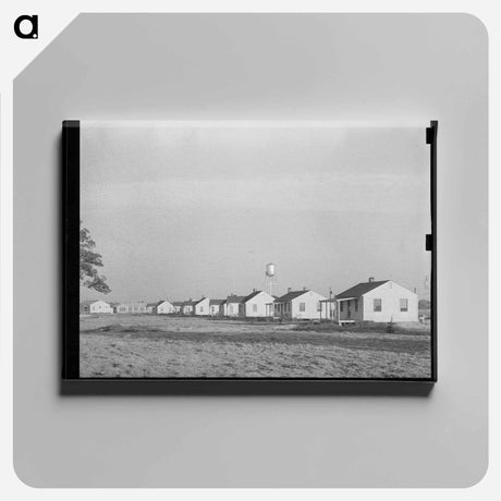 アートパネル-Types of Houses
 - ラッセル リー Canvas.