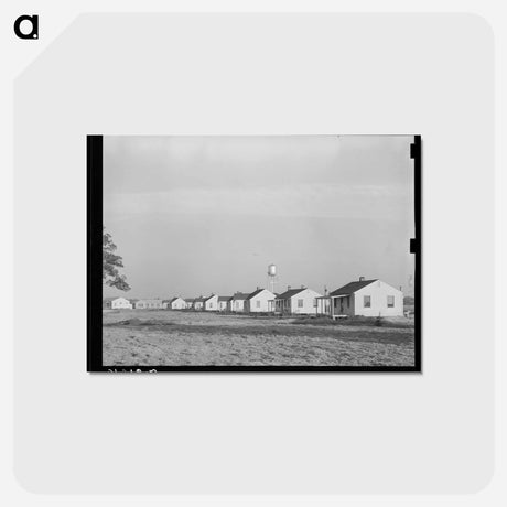 アートポストカード-Types of Houses
 - ラッセル リー Postcard.