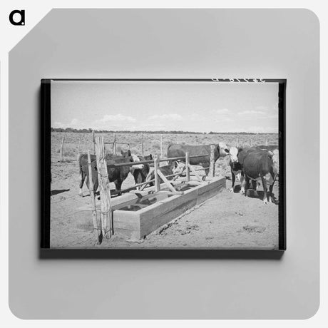 アートパネル-Beef Cattle at the Water Trough
 - ラッセル リー Canvas.