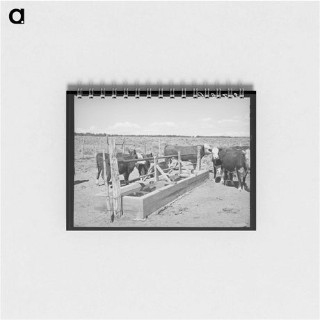 アートメモ帳-Beef Cattle at the Water Trough
 - ラッセル リー Memo.