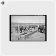 アートポストカード-Beef Cattle at the Water Trough
 - ラッセル リー Postcard.