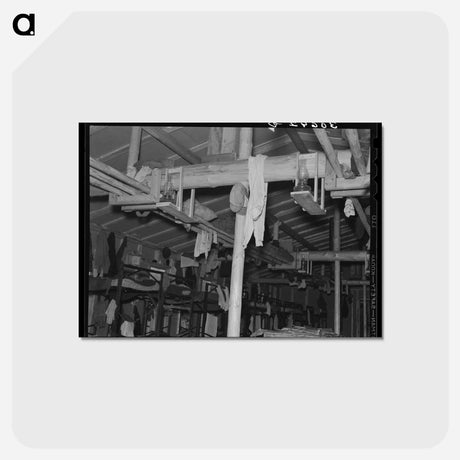 アートポストカード-Bunkhouse at Logging Camp
 - ラッセル リー Postcard.