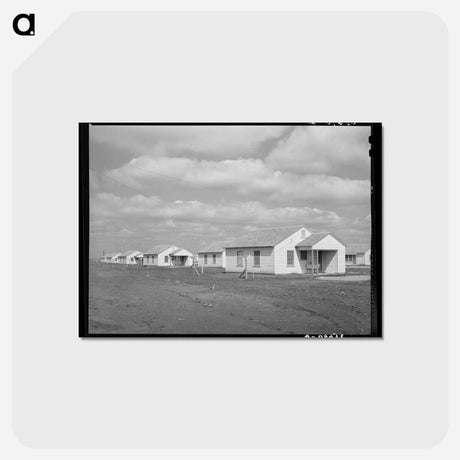 アートポストカード-Migratory Labor Camp Houses
 - ラッセル リー Postcard.