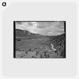 アートポストカード-Valley of the Rio Costilla
 - ラッセル リー Postcard.