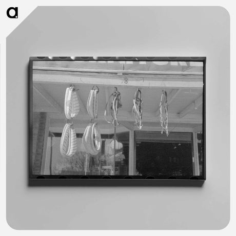 アートパネル-Horse Collars and Harness
 - ラッセル リー Canvas.