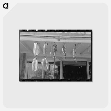 アートポストカード-Horse Collars and Harness
 - ラッセル リー Postcard.