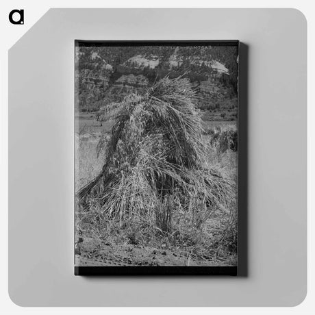 アートパネル-Oats in the Shock
 - ラッセル リー Canvas.